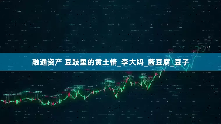 融通资产 豆豉里的黄土情_李大妈_酱豆腐_豆子